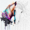Watercolour Horse Portrait Paint by Numbers Kit | Abstract Animal Art for Adults