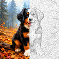 A split-color illustration of a Bernese mountain dog, with one half showing a painted, colorful version in an autumn forest and the other half showing a black-and-white numbered outline of the same dog.