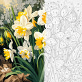 TheSparkleGrid daffodil flower artwork shown half as a colorful finished painting and half as a numbered paint by numbers canvas, featuring white and yellow flowers, green leaves, and flower buds